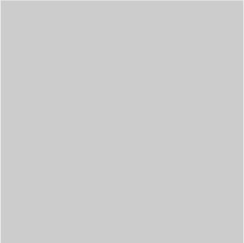 Silver Solid